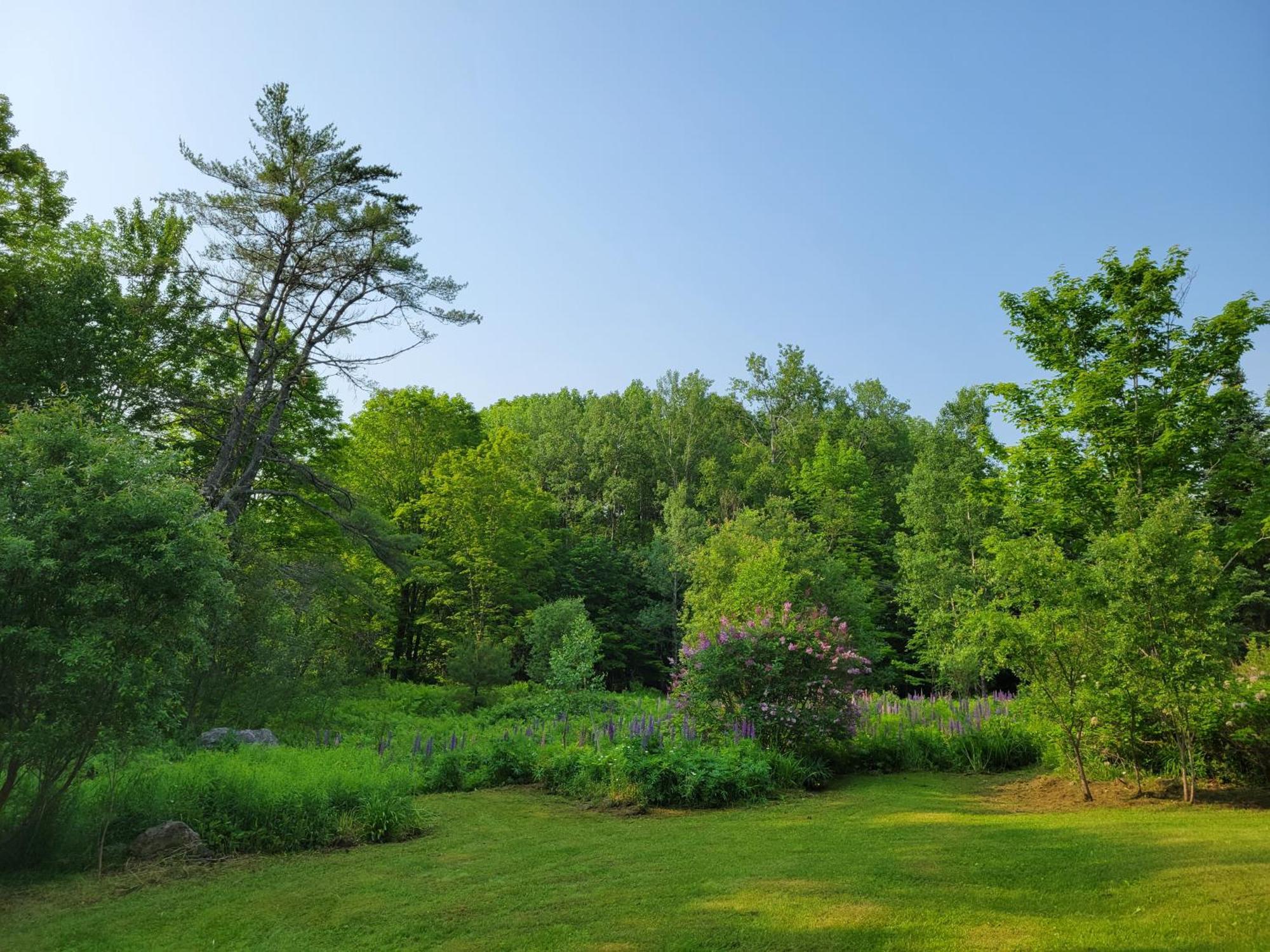 Villa White Mountain Barn Littleton Exterior foto